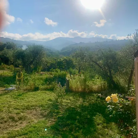 Clementina Camping Vinci