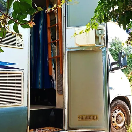 Clementina Camping